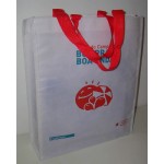 PP Non Woven Bags(PPN-023)